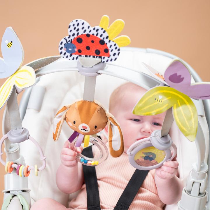 Actual product image Taf Toys Grow with me