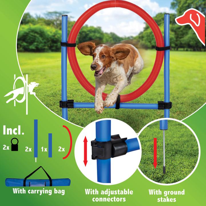 Immagine prodotto Pet Toys Set di anelli per cani (Destrezza)