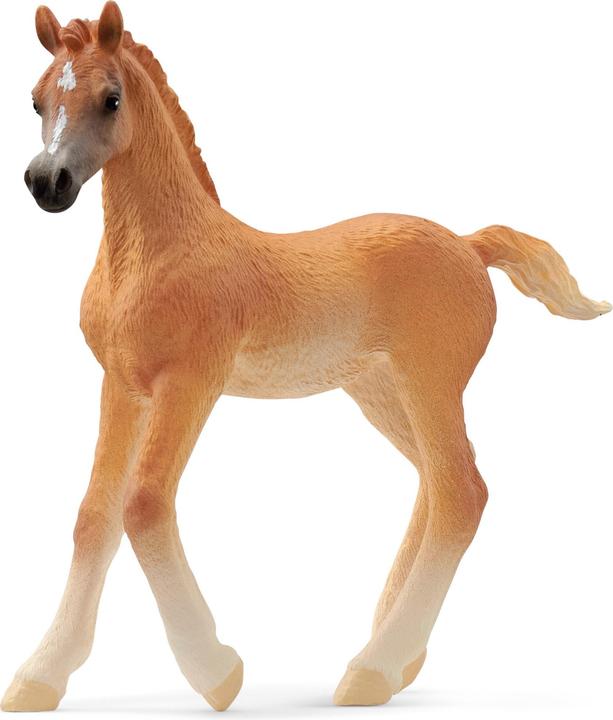 Actual product image Schleich Arabian foal