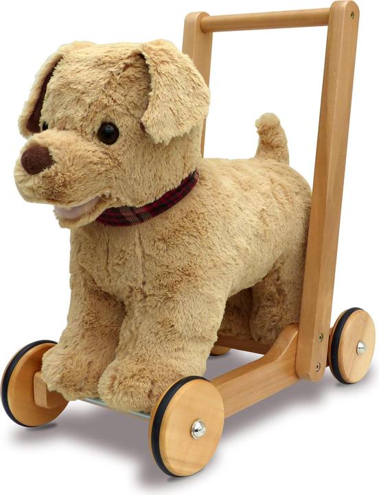 Actual product image little bird told me Dexter Dog Push Along