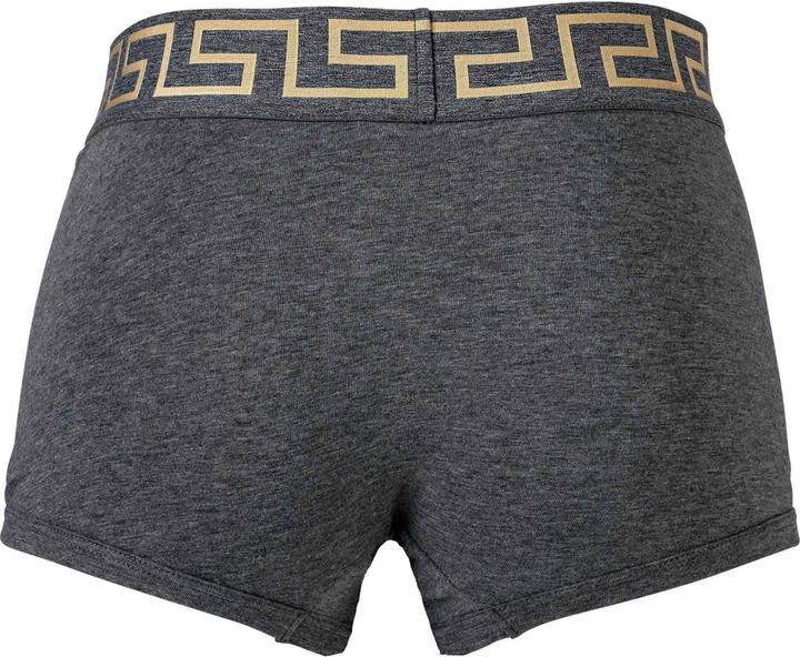 Actual product image Versace Underpants Tri-Pack Trunk Jersey Topeka Bi-Stretch Cotton Organic New Logo (XXL, pack of 3)