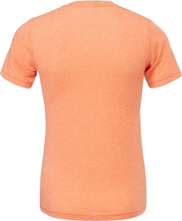 Actual product image Bella Canvas Adults Unisex Tri-Blend T-Shirt (M)