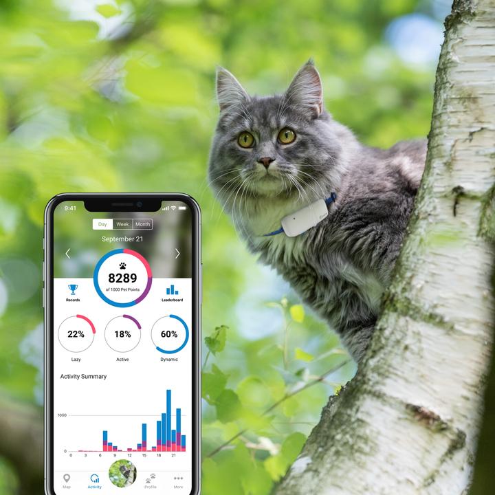 Immagine prodotto Tractive Localizzatore GPS per gatti con tracciamento dell'attività (Gatto, Passeggiare)