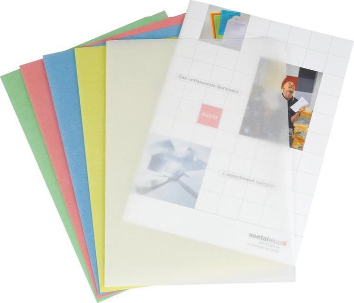 Image du produit Elco Pochettes Ordo transparentes (A4, 100 x)