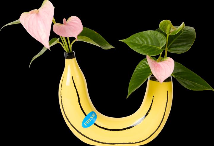 Produktbild Lund-Stougaard Banane (1 x, 20 x 19 cm)