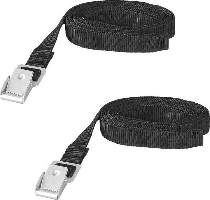 ProPlus Spannriemen mit Metallschnalle 18mm-200cm Set von 2 Stück