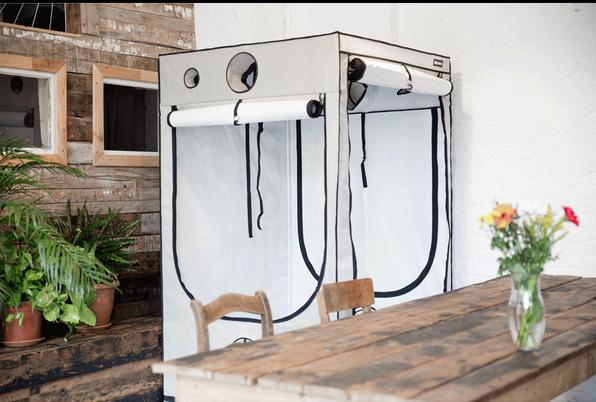 Image du produit Homebox Ambient Q120+ avec PAR
