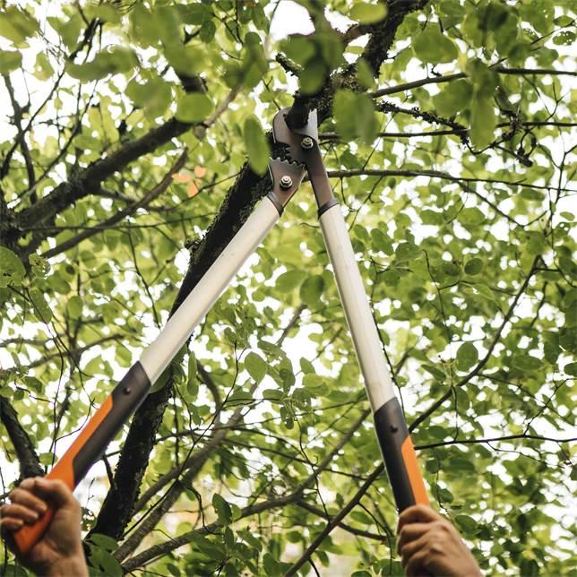 Actual product image Fiskars Lx98-L