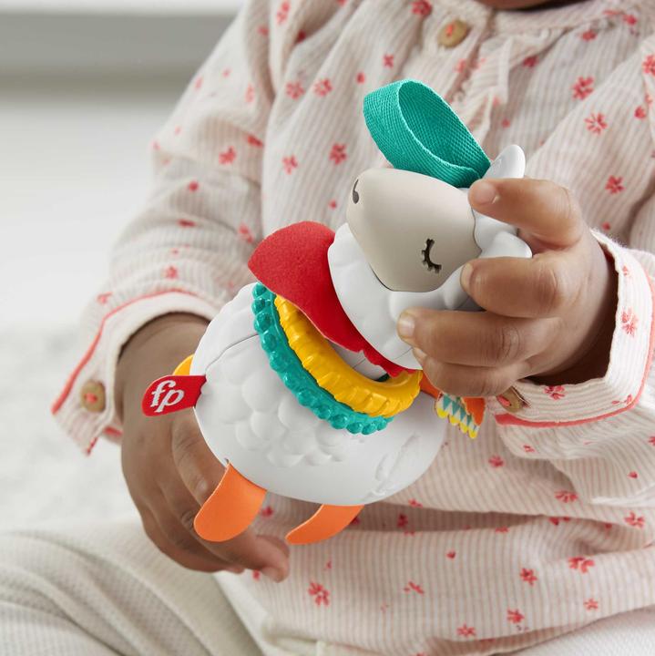 Actual product image Fisher-Price Animal rattles, activity toys for babies
