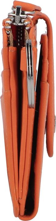 Produktbild Braun Büffel Joy Rfid