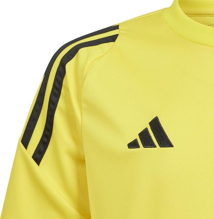 Produktbild adidas TIRO24 JSY Y (152)