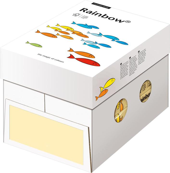 Immagine prodotto Rainbow Dimmbares LED Zeichenbrett (80 g/m², 500 x, A4)