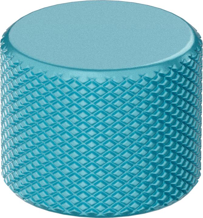 Actual product image Glorious GMMK 3 Rotary Knob, Arctic Blue
