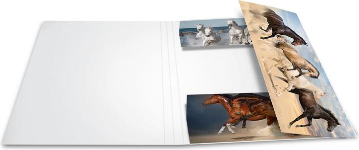 Actual product image Herma A4 motif folder (A4, 1 x)