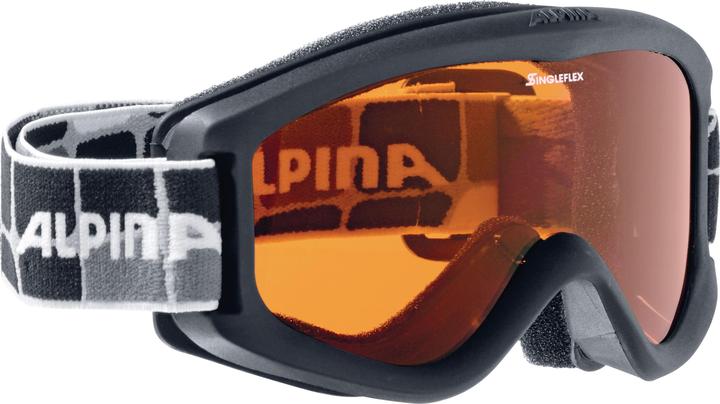 Actual product image ALPINA SPORTS Carvy 2.0