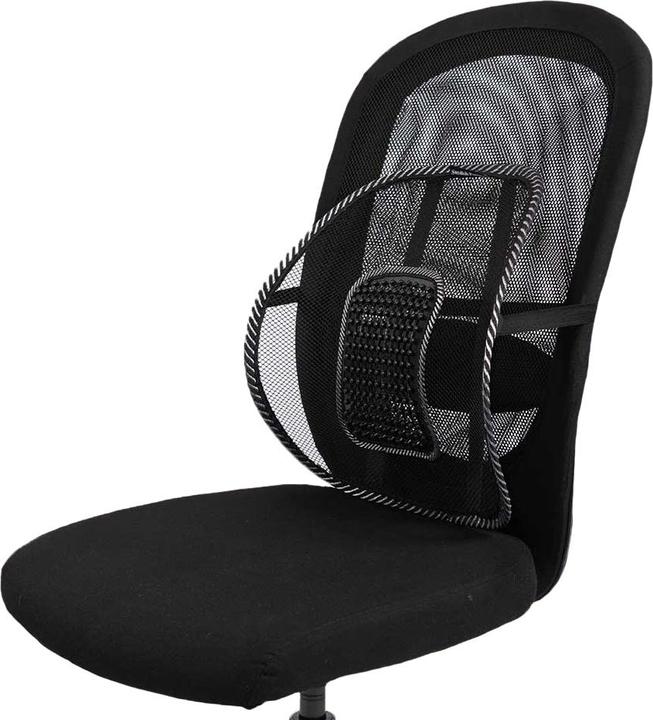 Swedish Posture Supporto per la schiena