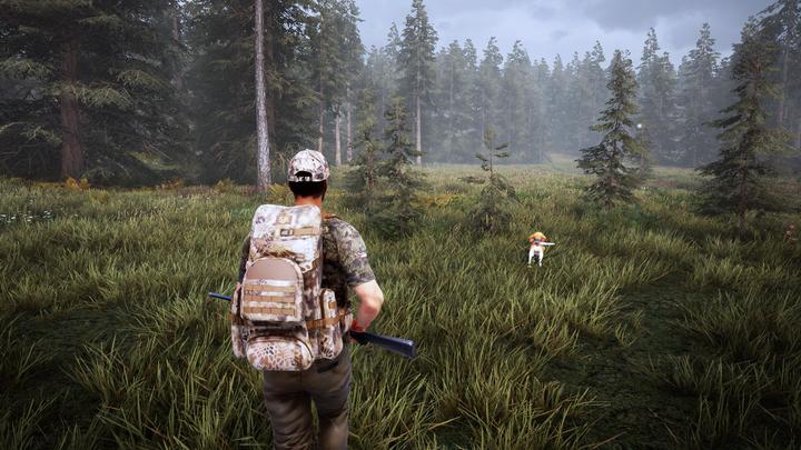 Image du produit Bigben Hunting Simulator 2 (Xbox Series X, Xbox One X, Multilingue)