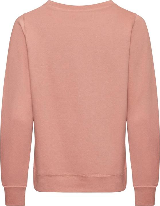 Immagine prodotto Awdis Felpa (XL)