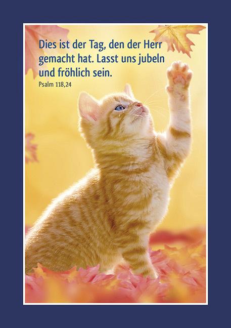 Immagine prodotto Kleine Quelle - Adattamento animali, adesivi