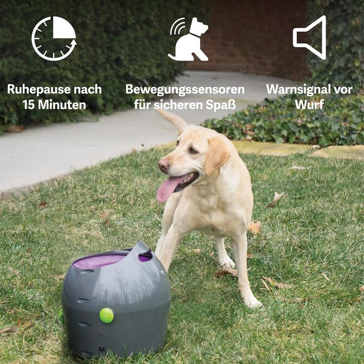 Image du produit PetSafe Lanceur de balles (Jouet à balle chien)