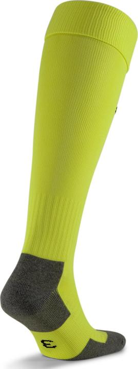Actual product image Puma Team LIGA Socks CORE-703441 (31, 34)