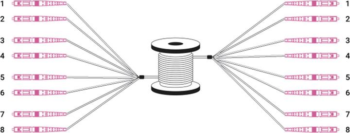 Image du produit Digitus Câble breakout fibre optique universel préassemblé, multimode OM4, 8 fibres, LC/UPC – LC/UPC (LSOH, CAT6, 75 m)