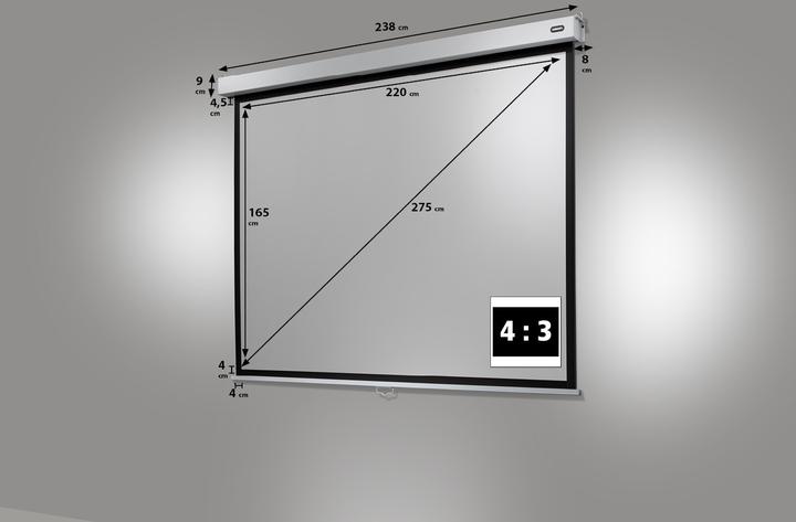 Image du produit Celexon Professionnel Plus (108", 4:3)