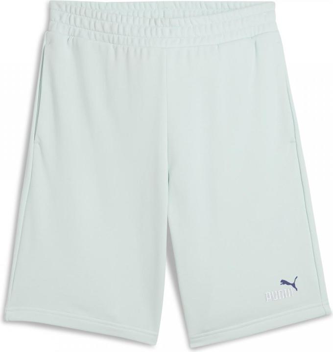 Image du produit Puma ESS 2 COLOR No. 1 Logo Shorts 10" TR (M)