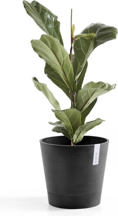 Image du produit Ecopots Venise (40 cm)