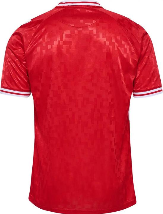 Produktbild hummel Dänemark Heim EM Trikot (S)