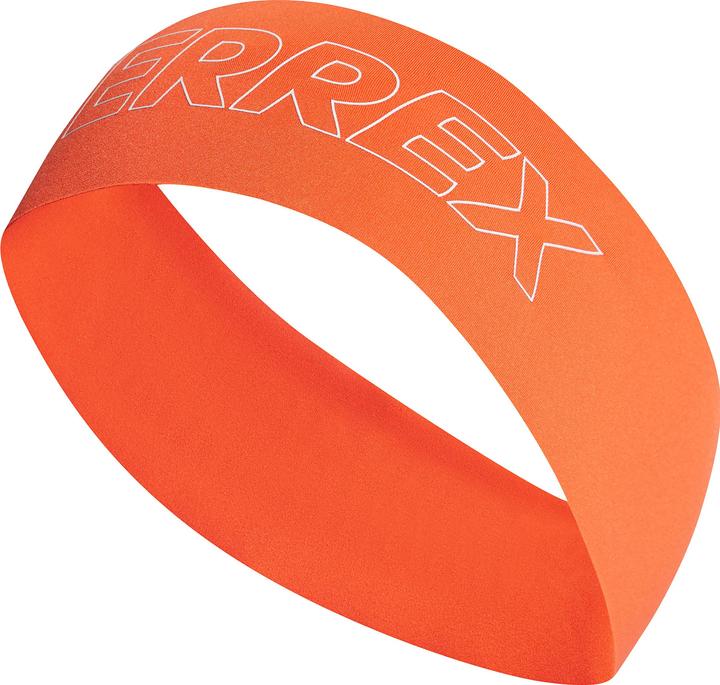 adidas Terrex Aeroready Headband