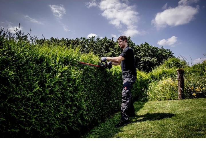 Actual product image Metabo HS 18 LTX 55V (Cordless hedgecutters)