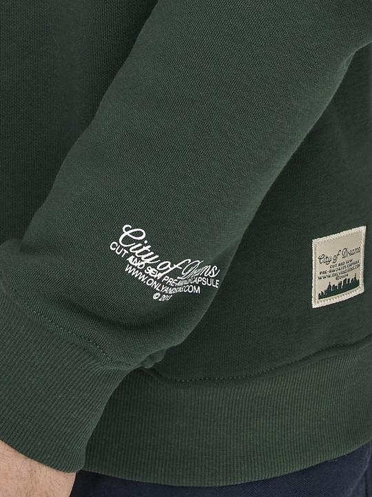 Actual product image Only & Sons Regular fit High neck sweatshirt Sweatshirt (L)