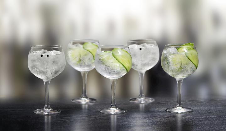 Image du produit Royal Leerdam Premium (6.50 dl, 6 x, Verres à gin)