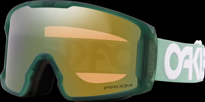 Prizm Sage Gold Iridium, Matte B1B Jade