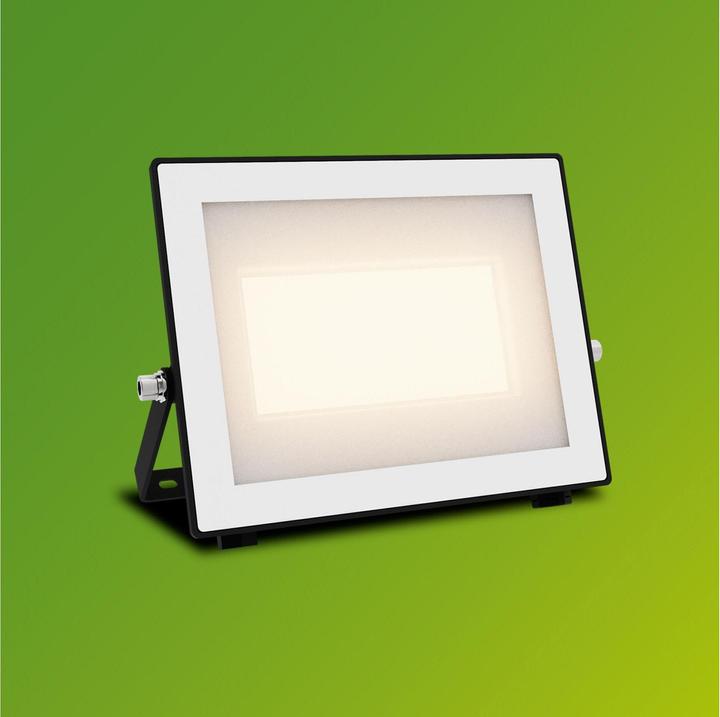 Actual product image Philips Outdoor Flutlicht Lois (5400 lm, IP65)