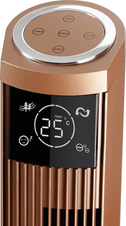 Image du produit Biswind Ventilateur de tour (50 dB)