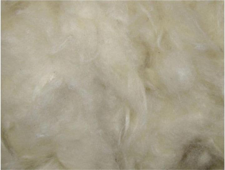 Actual product image Nobby Kapok wool (0.07 kg, Bedding)