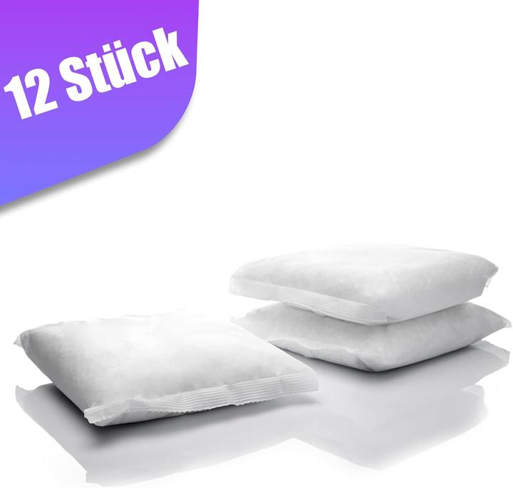 Actual product image BigDean 12x 400g Luftentfeuchter Nachfüllpack (25 m²)