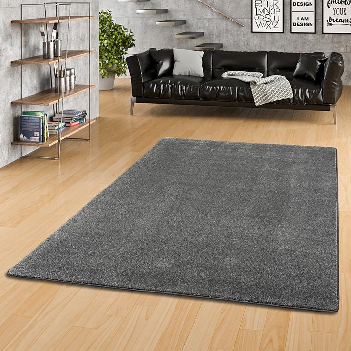 Image du produit Snapstyle Tapis en velours de luxe à poils longs Touch (200 x 250 cm)