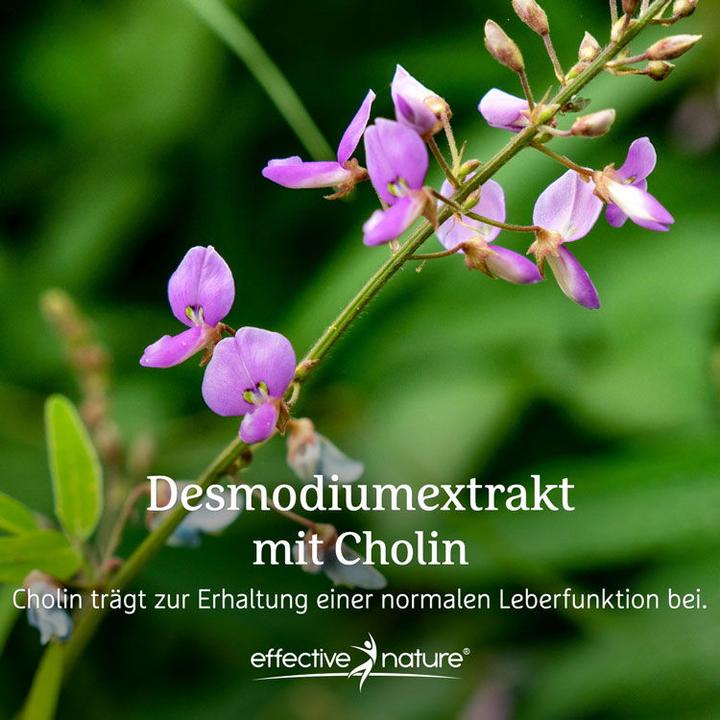 Immagine prodotto Effective Nature Estratto di Desmodium con colina (90 Pezzo/i, Pillole, 90 g)