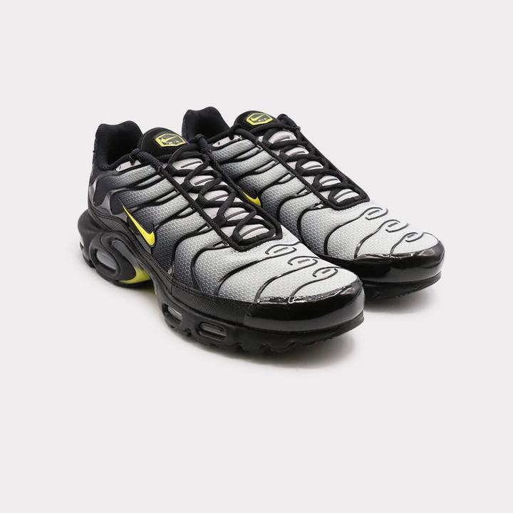 Actual product image Nike Air Max Plus (42)
