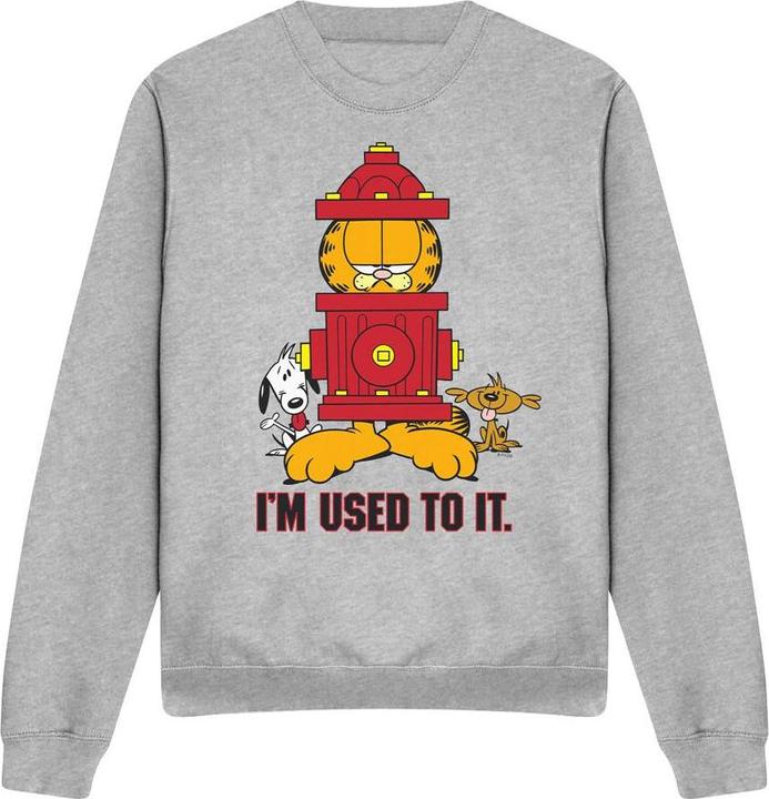 Produktbild Garfield I'm Used to It Sweatshirt (S)
