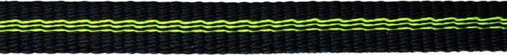Actual product image Edelrid Tech Web 12mm 100m / whole roll