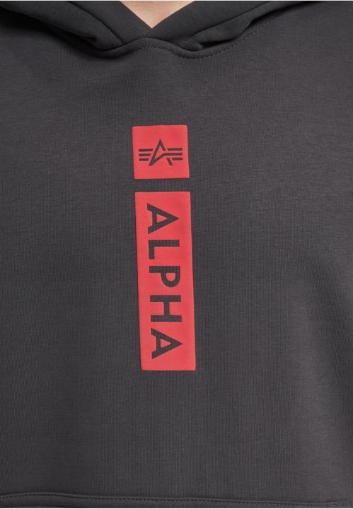 Actual product image Alpha Industries Logo BP Hoodies - 145441 (XXL)