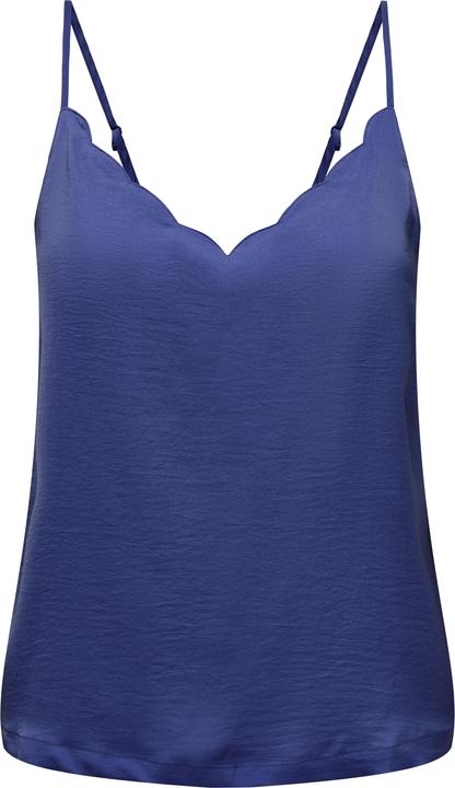 Blu skipper