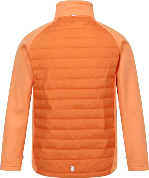 Image du produit Regatta Veste étanche Hydrate VIII 3 en 1 (170, 176)