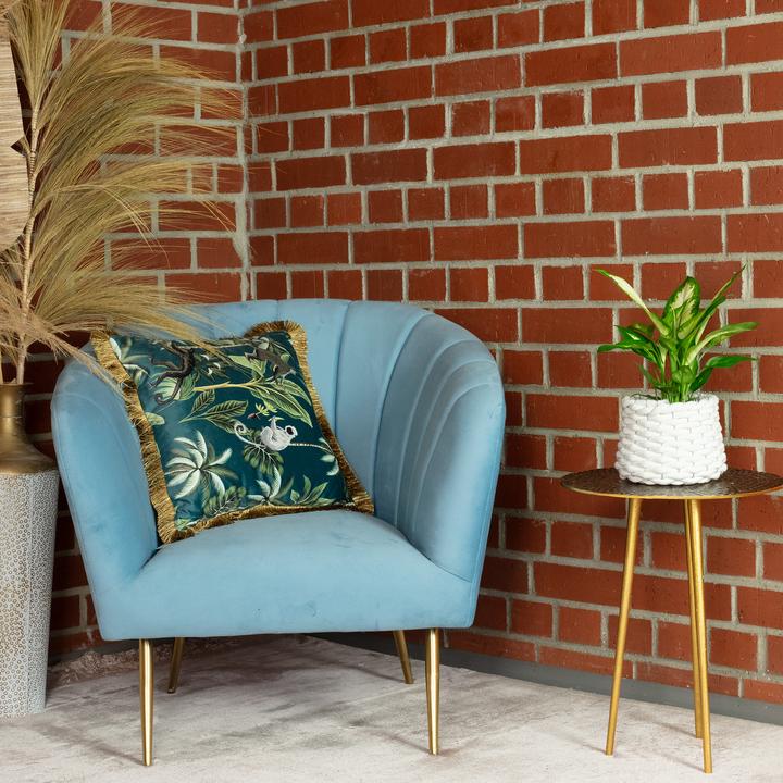 Image du produit Flowerbox Dieffenbachie - Dieffenbachia (35 cm)