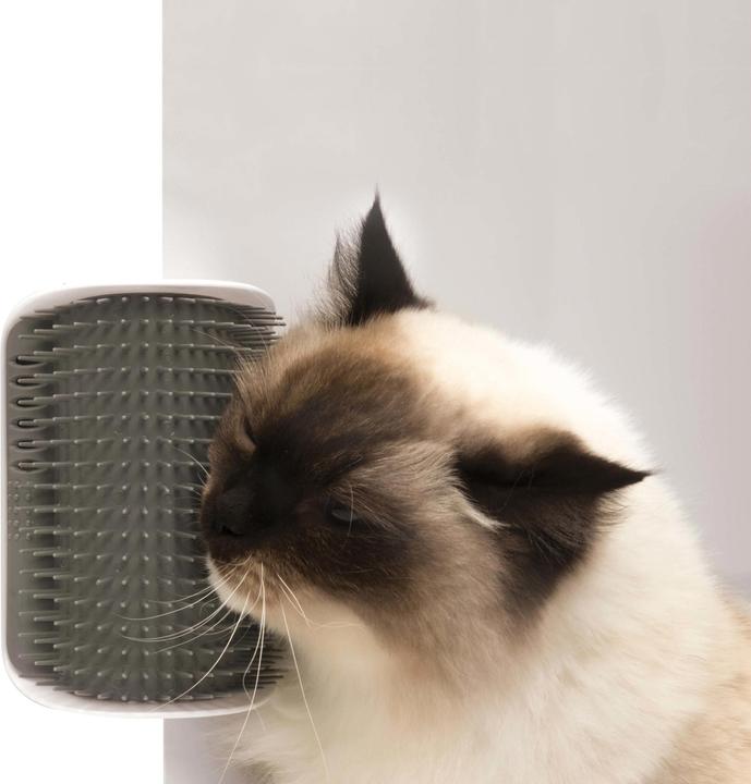 Catit Senses (Catmint toy)