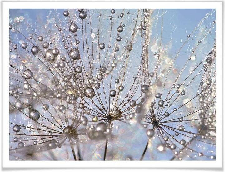 Actual product image Trenddeko Water drop in the dandelion (80 x 60 cm)
